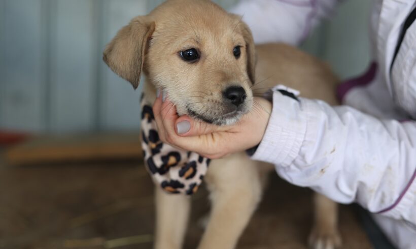 MALIA – reserviert