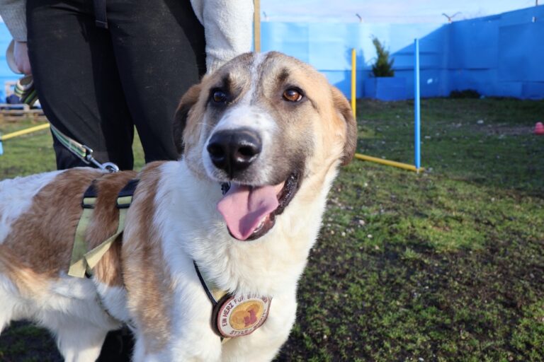 628747323_1244516800971134_3058255229582782168_n