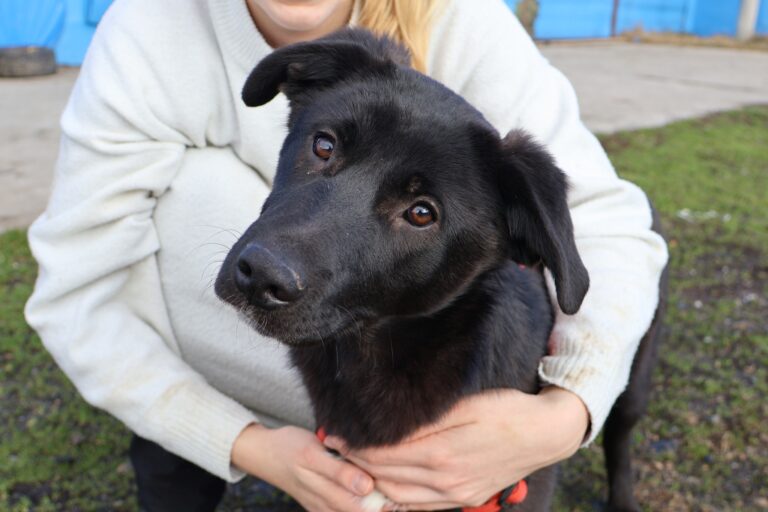 631475559_1244498294306318_1443292411760455759_n