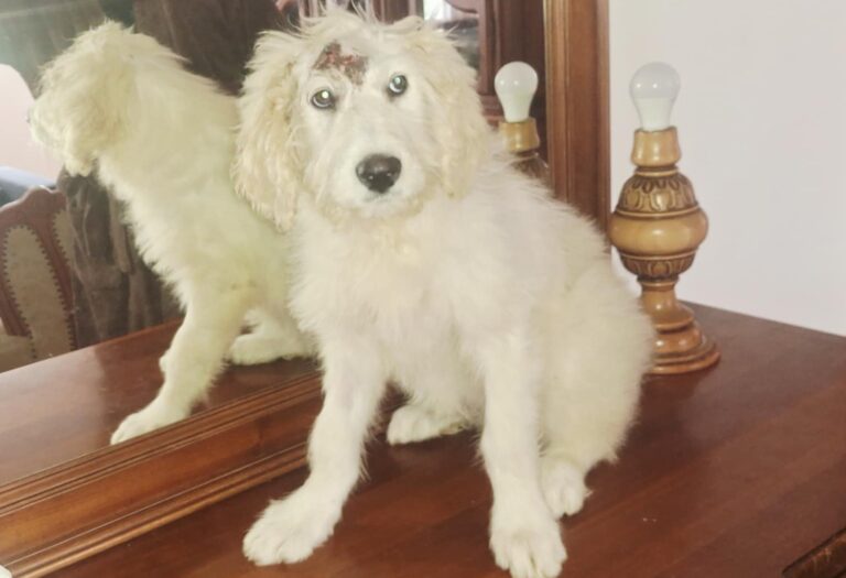 631823677_891367093777269_8690639150971978493_n