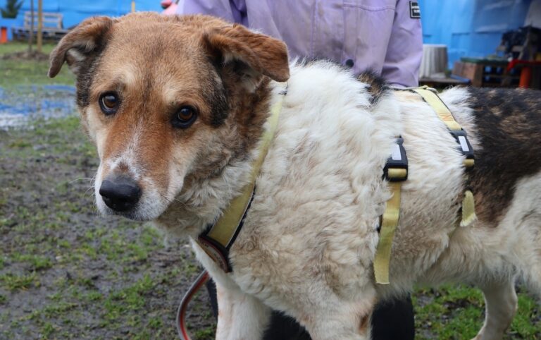 632507328_1244307617658719_7236265192569867536_n