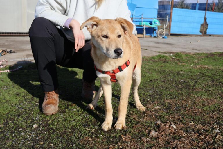 633620322_1244494274306720_450498562362784271_n