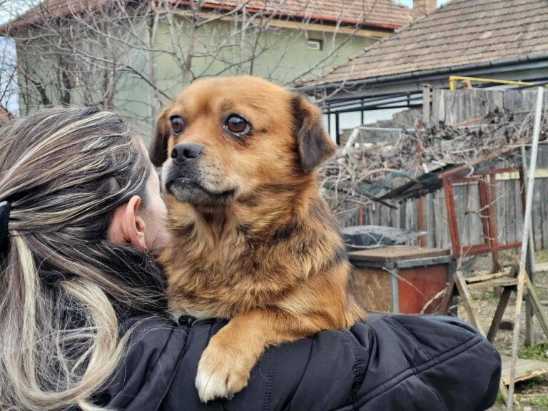 634047211_2109600559777689_588556728075867780_n