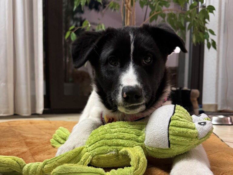 641337924_25838233665835439_6523125074394132997_n