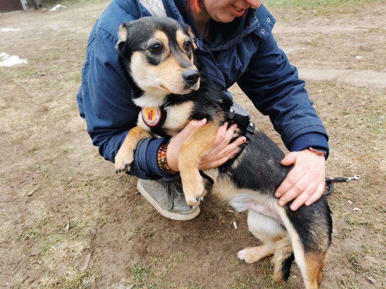 644f47ed-27fd-4336-8f31-384d3c3335ff