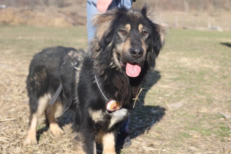 653700281_26134924602866614_589261523811310007_n