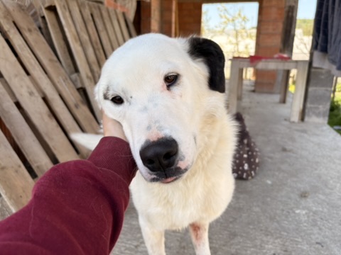 7BBE6D16-EBFB-43F4-9CA6-4780A00971DB_4_5005_c