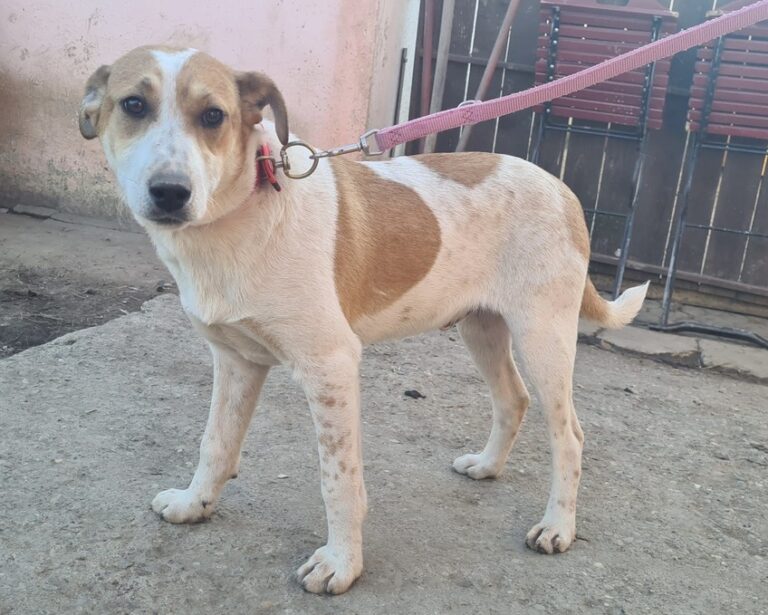 92563b49-dc3b-4ad8-a244-edf172a8d237