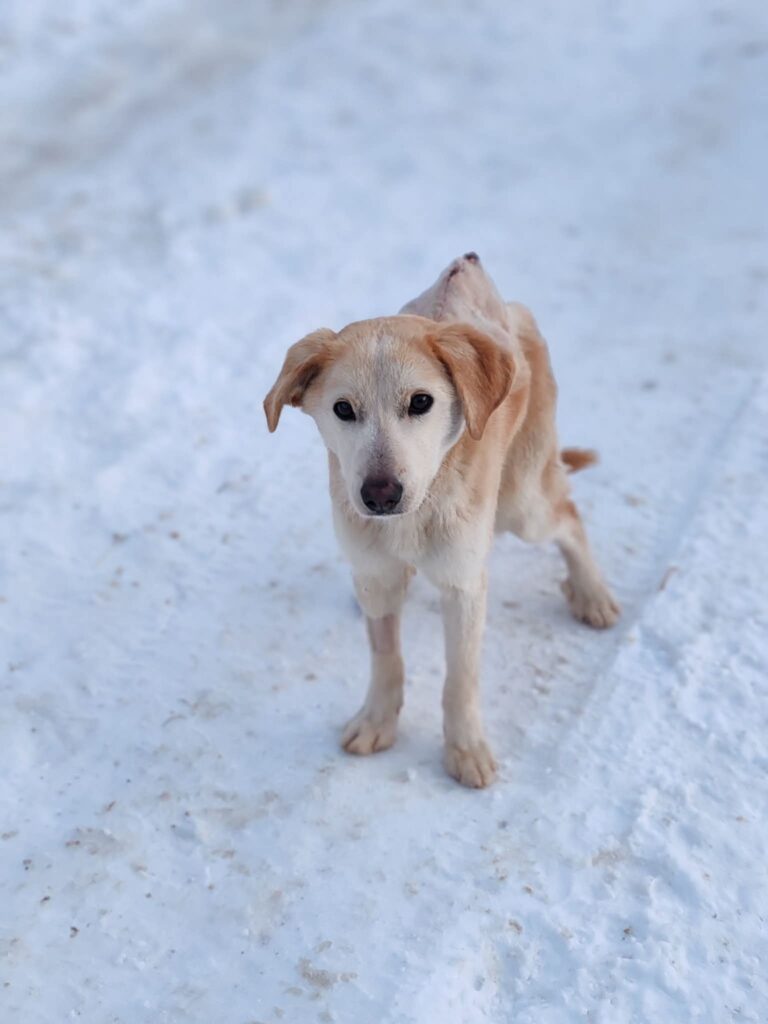 99e94bb430f977ad5a16c8f5bacf799f