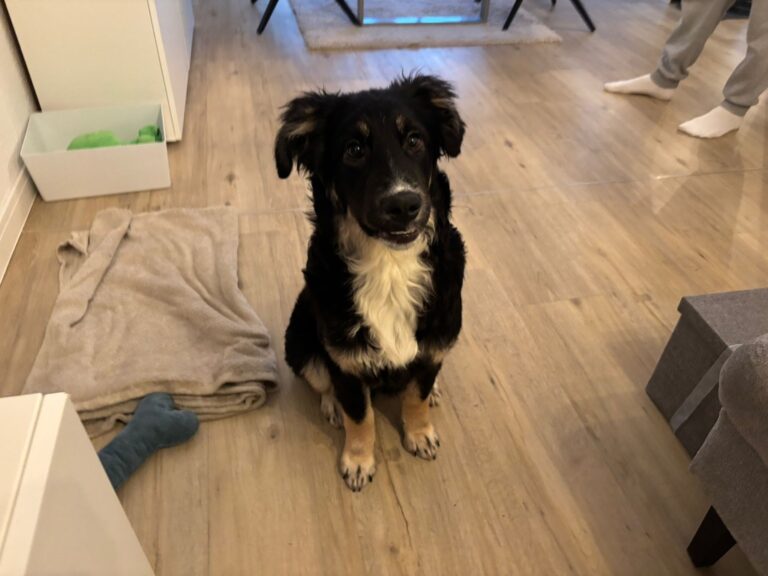 D75FF587-904E-4DE7-9CF0-8713CF99F00F_1_105_c