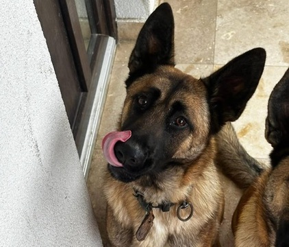 SANDY – reserviert