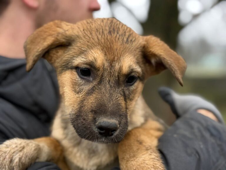 FB_IMG_1767614990735