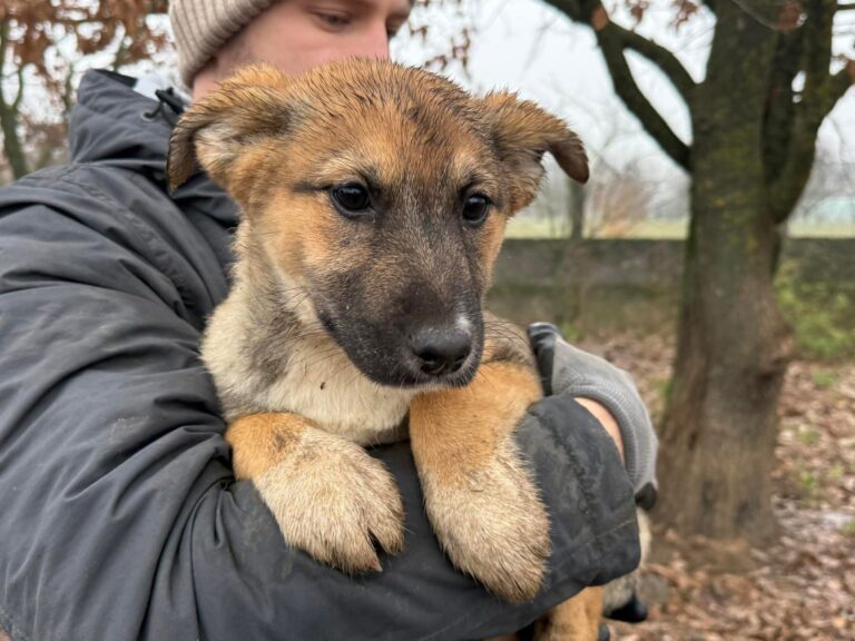 FB_IMG_1767616487752