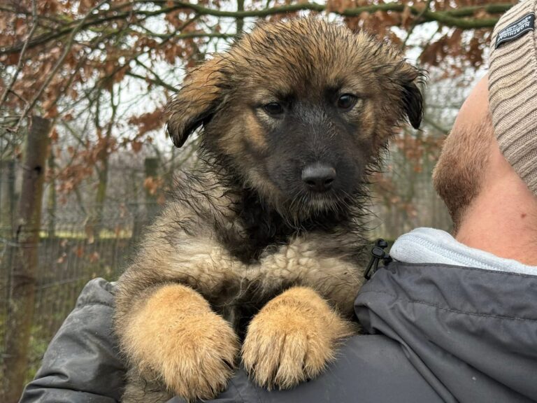 FB_IMG_1767617566397