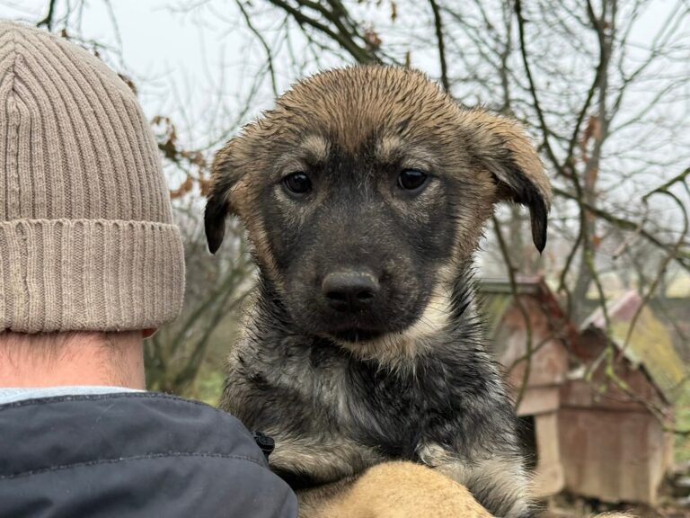 FB_IMG_1767617829596