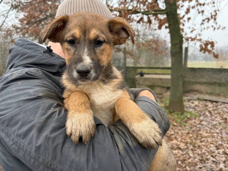 FB_IMG_1767618214464