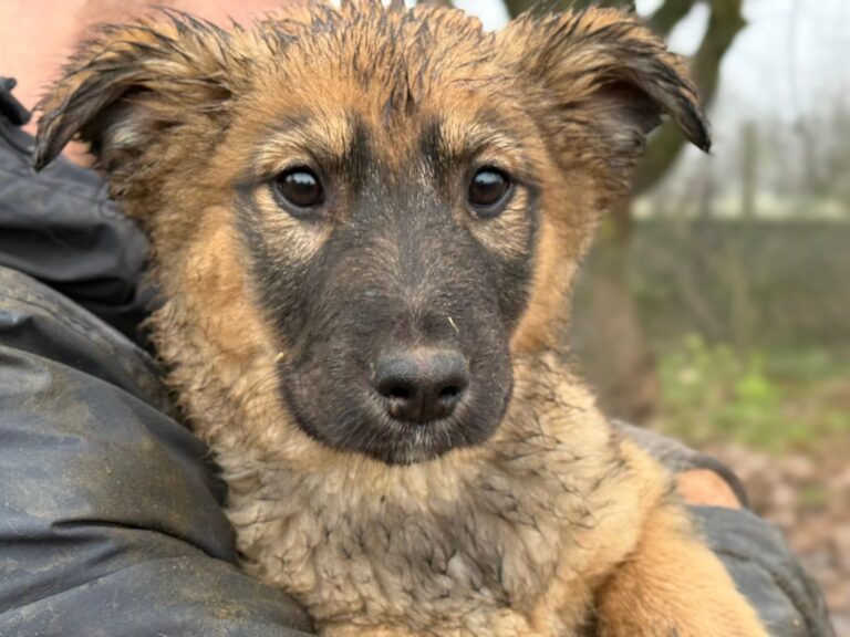 FB_IMG_1767619034607