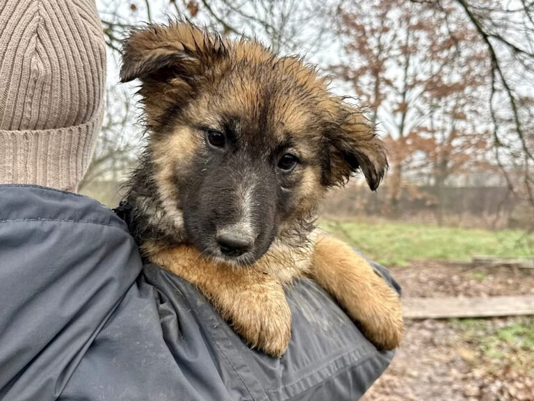 FB_IMG_1767619568896