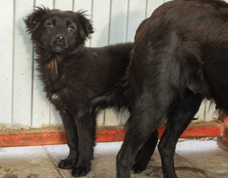 FB_IMG_1767725621353