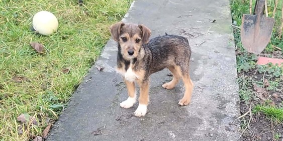 FB_IMG_1769089724549