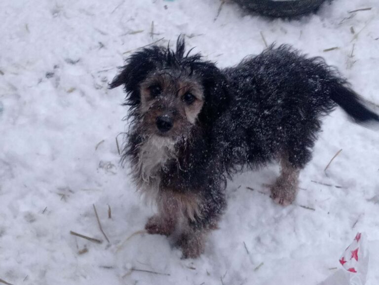 FB_IMG_1769169370327