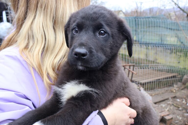 FB_IMG_1770641784031