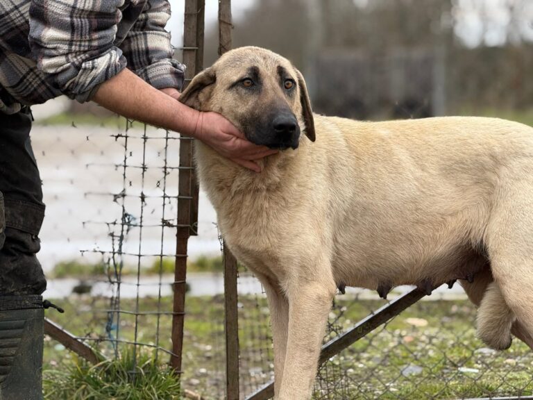 FB_IMG_1771057375816