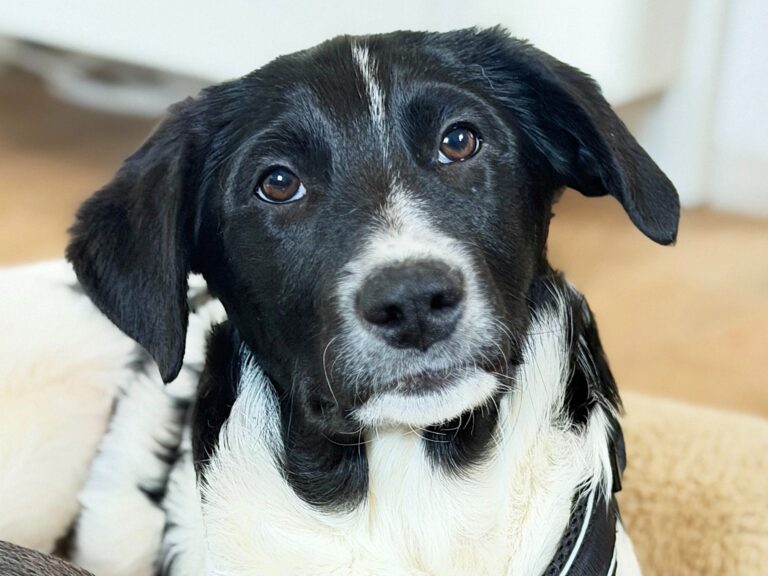 FF3A194F-14CD-4972-A9A7-D2F293D44A9C