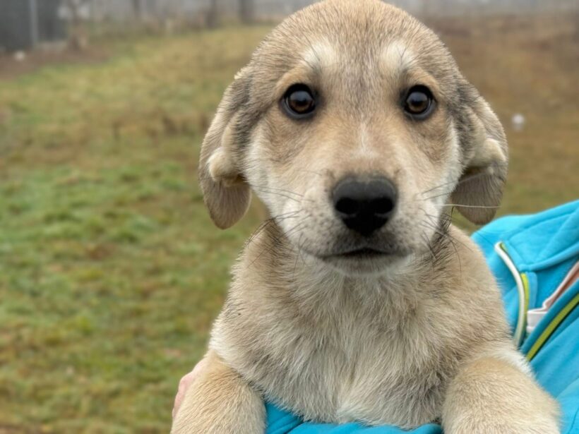 YAKARI – reserviert YAKARI – reserviert