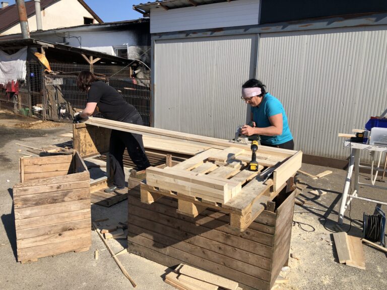 IMG_3093-scaled-1-768x576