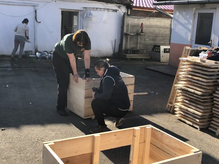 IMG_3559-scaled-1-768x576