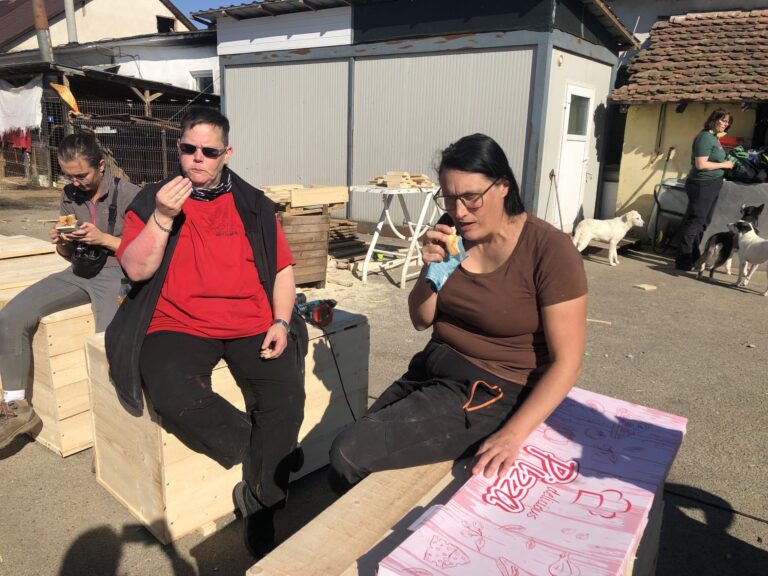 IMG_3730-scaled-1-768x576