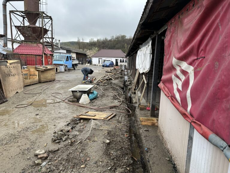 IMG_3807-scaled-1-768x576