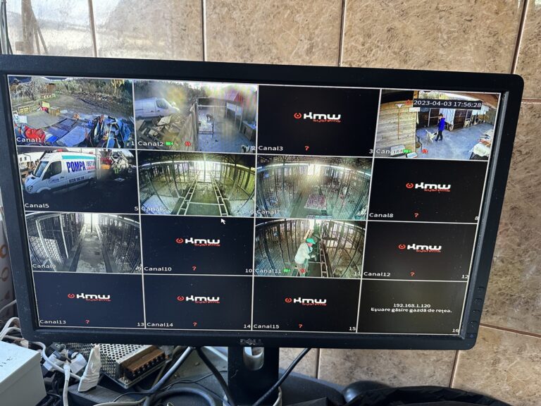 IMG_4291-scaled-1-768x576