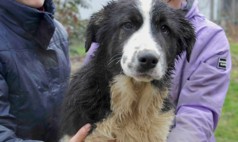 ALESSO – reserviert