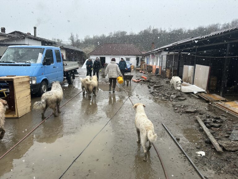 IMG_4826-scaled-1-768x576