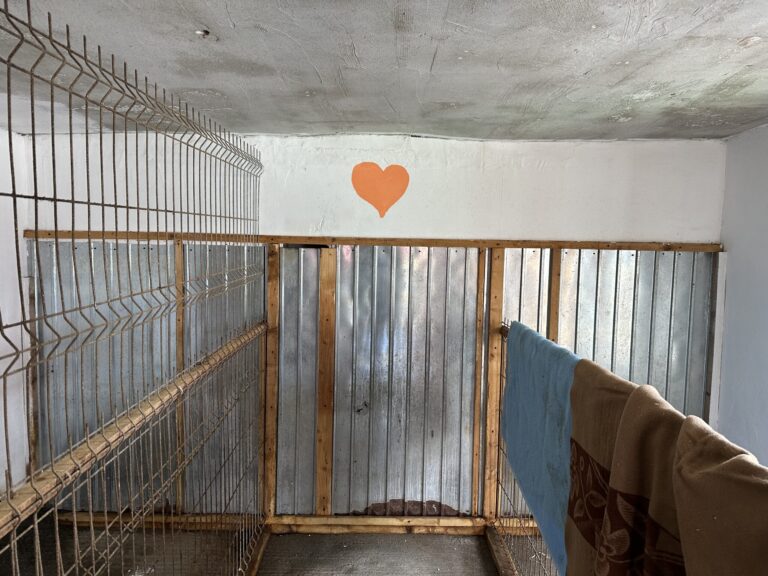 IMG_5001-scaled-1-768x576