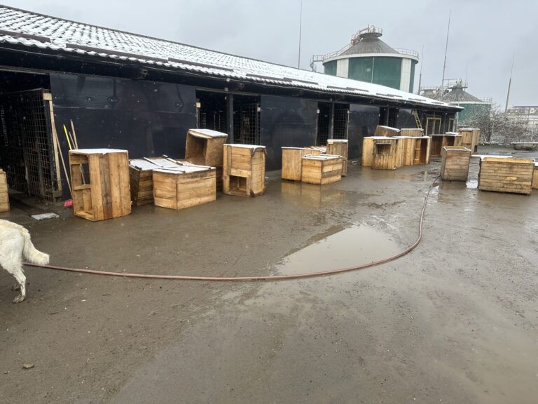 IMG_6292-scaled-1-768x576