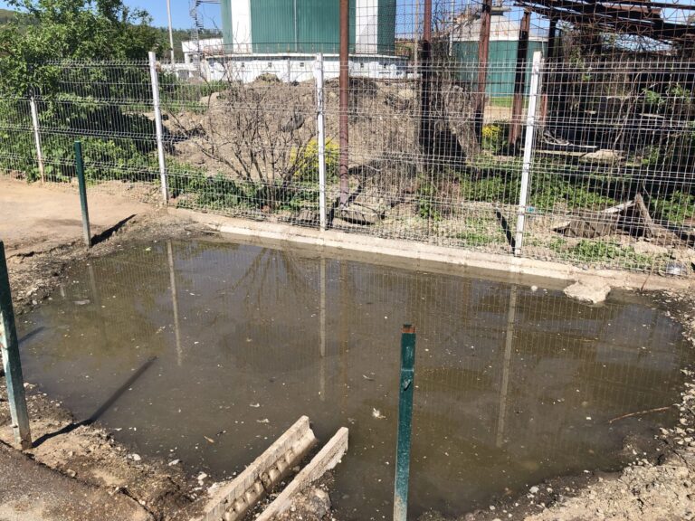 IMG_6572-scaled-1-768x576