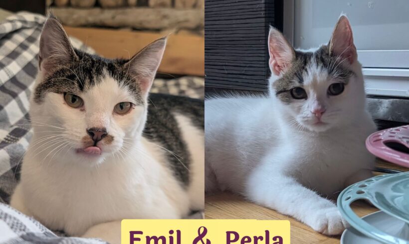 PERLA&EMIL