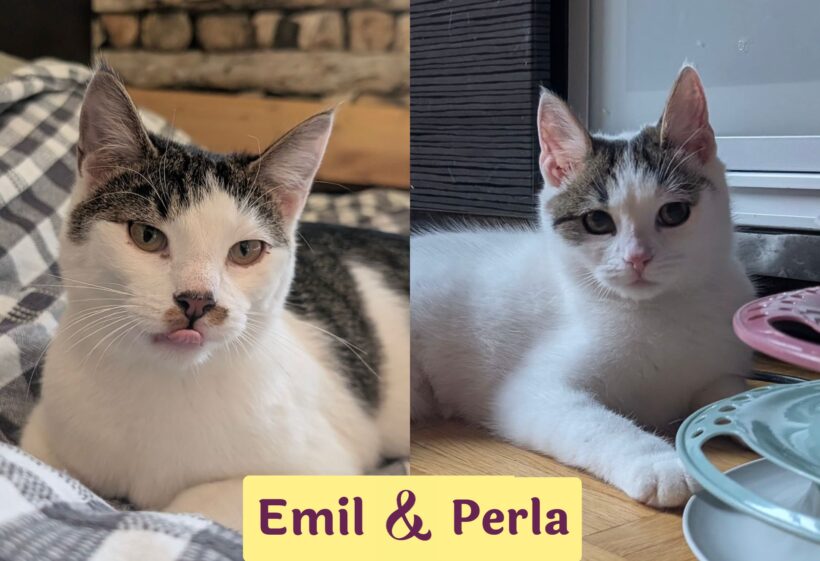 PERLA&EMIL