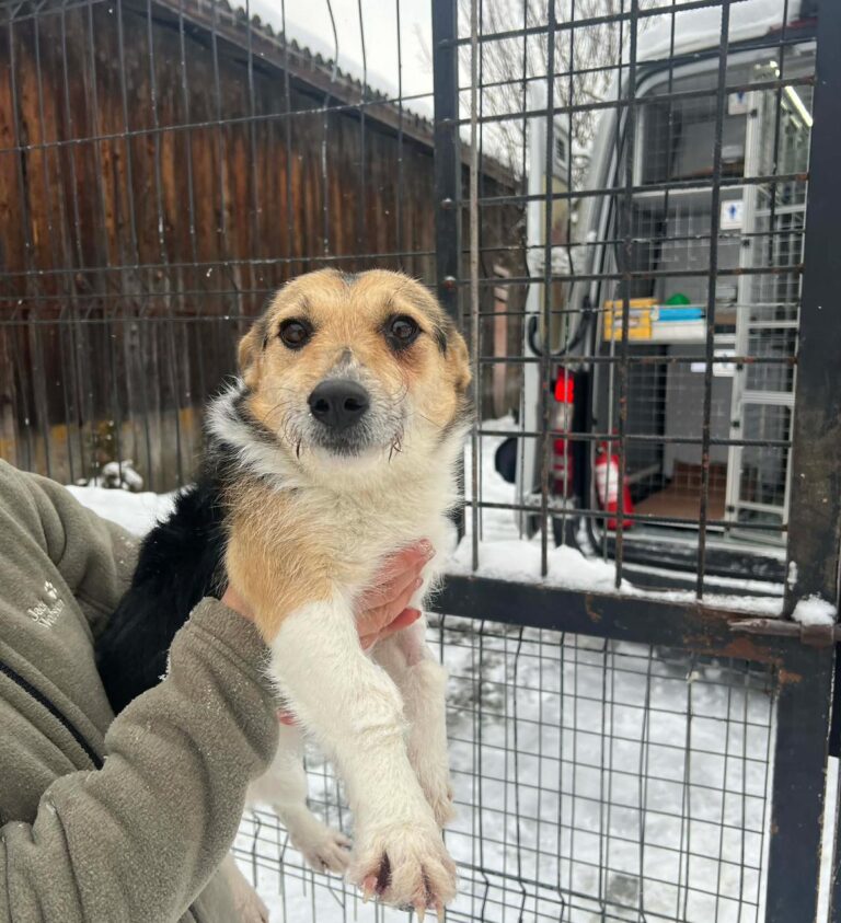 WhatsApp Image 2026-01-09 at 11.26