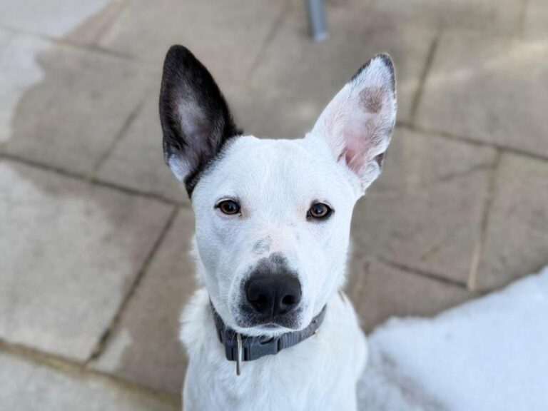 WhatsApp Image 2026-01-28 at 05.56