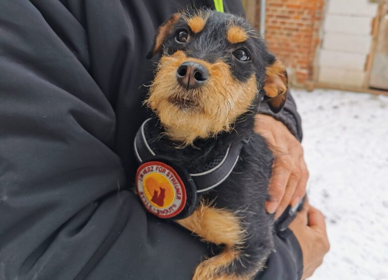 WhatsApp Image 2026-02-02 at 11.24