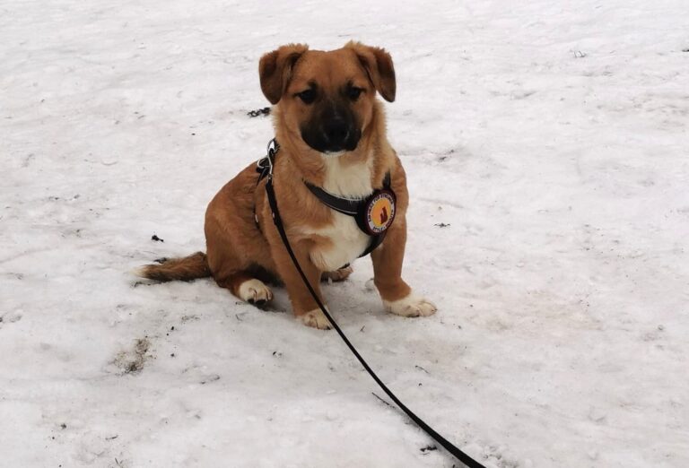 WhatsApp Image 2026-02-06 at 12.25