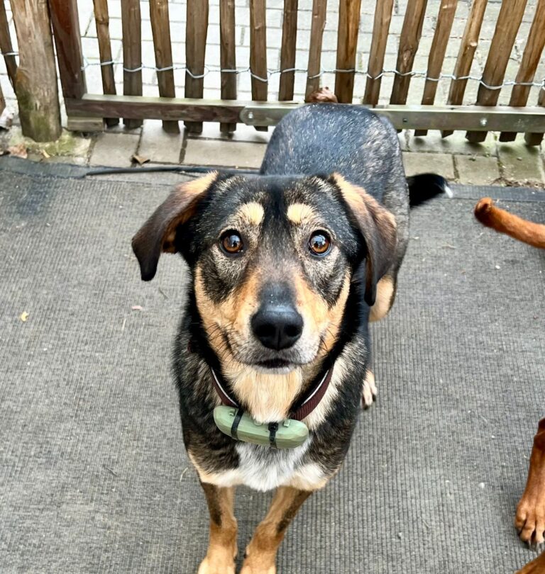 WhatsApp Image 2026-02-11 at 13.34