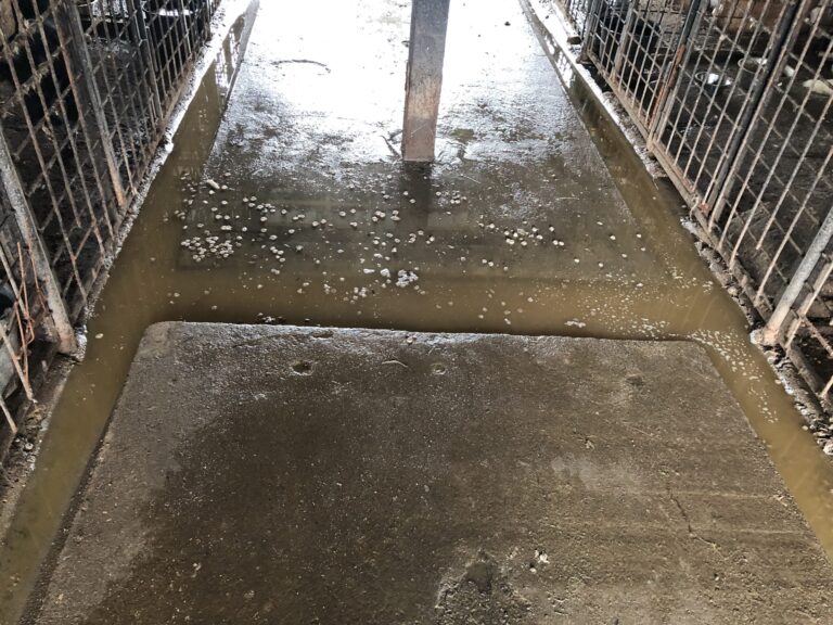 Zwinger-und-Gange-unter-Wasser-1-scaled-1-768x576