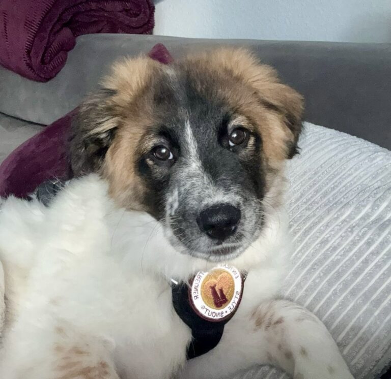 a4b45b6b-6fd2-4c85-bfec-2a8526615653