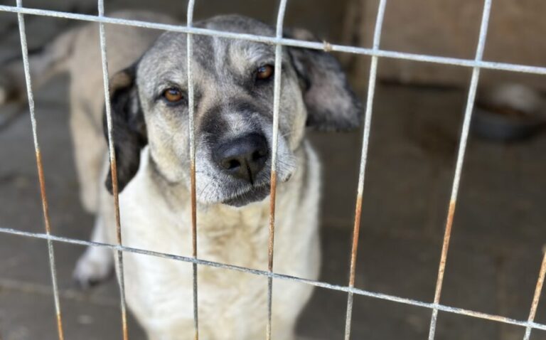 cbeb6714-b684-40d5-9922-f3f4781e2f5e-900x560