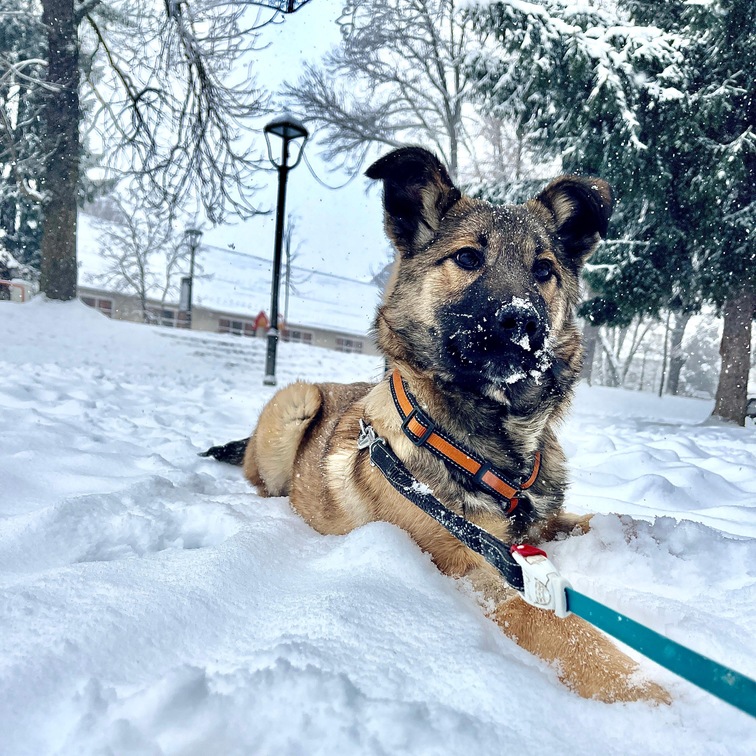 ebc53951-73be-48ed-a030-d45dc9660f4f